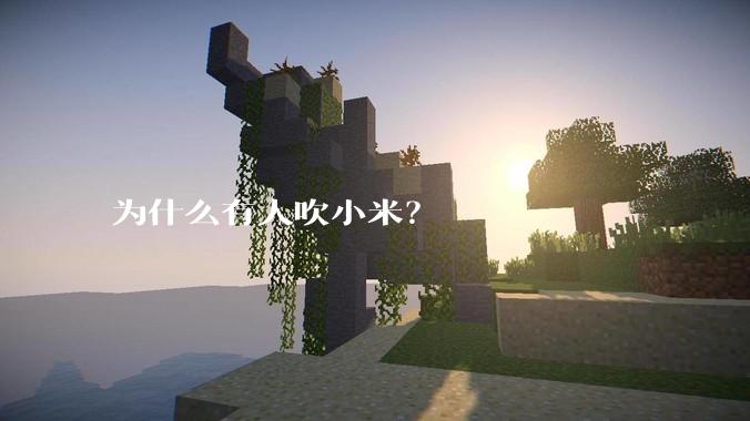 为什么有人吹小米？