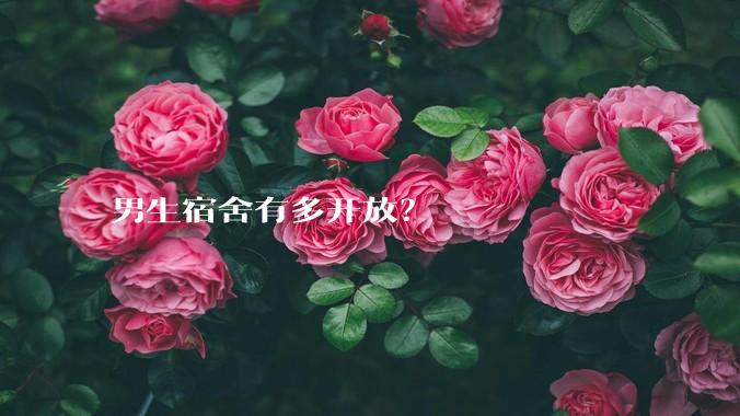 男生宿舍有多开放？